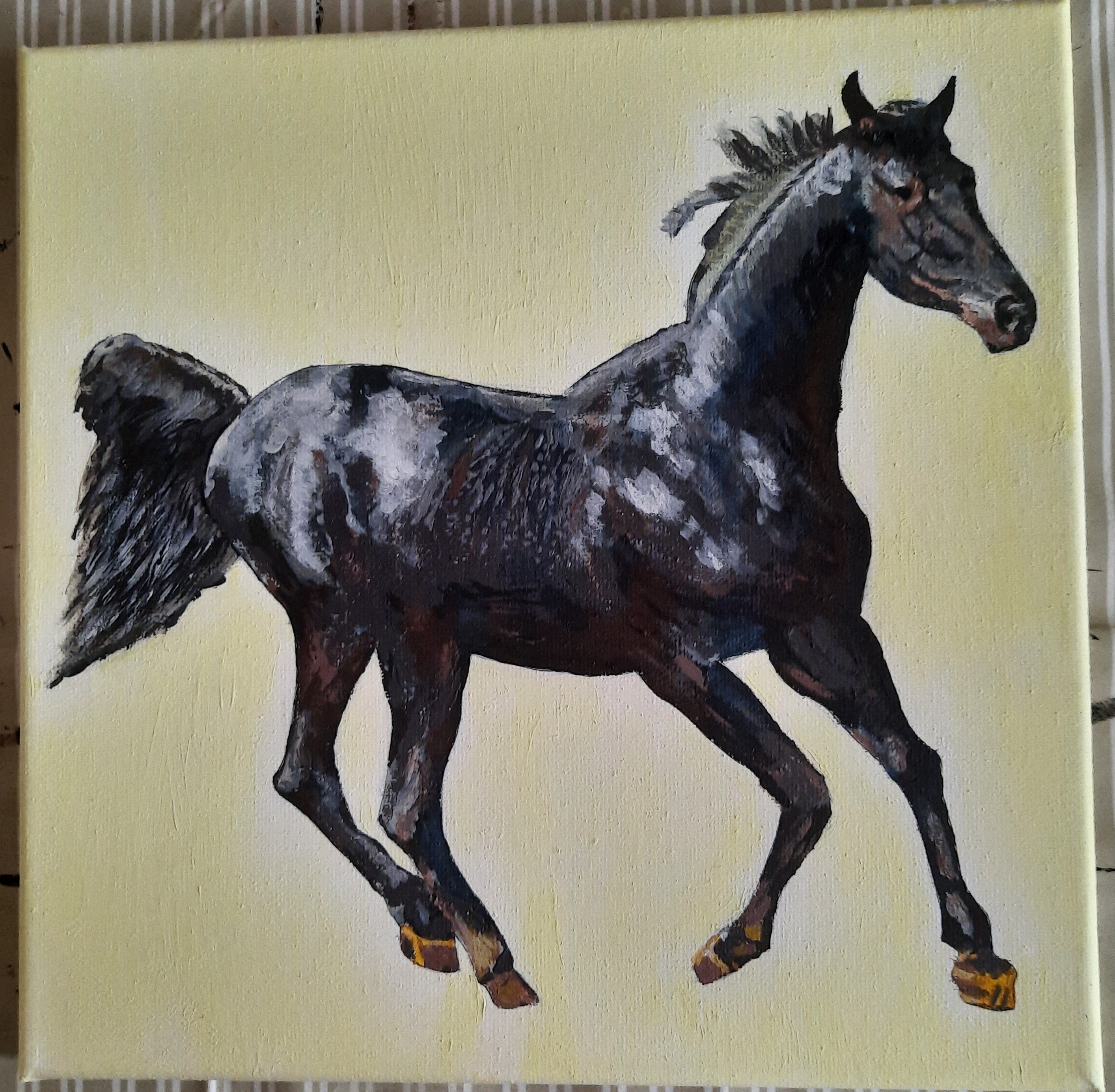 Black Horse